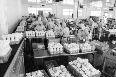 产业选对路，农民得实惠——农产品加工的发展与机遇