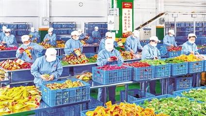 广西推进农产品加工业集聚发展，助力乡村振兴与产业升级