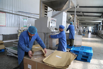 赛美葵花籽出口创汇持续攀升，绥化农产品加工业展现强劲活力