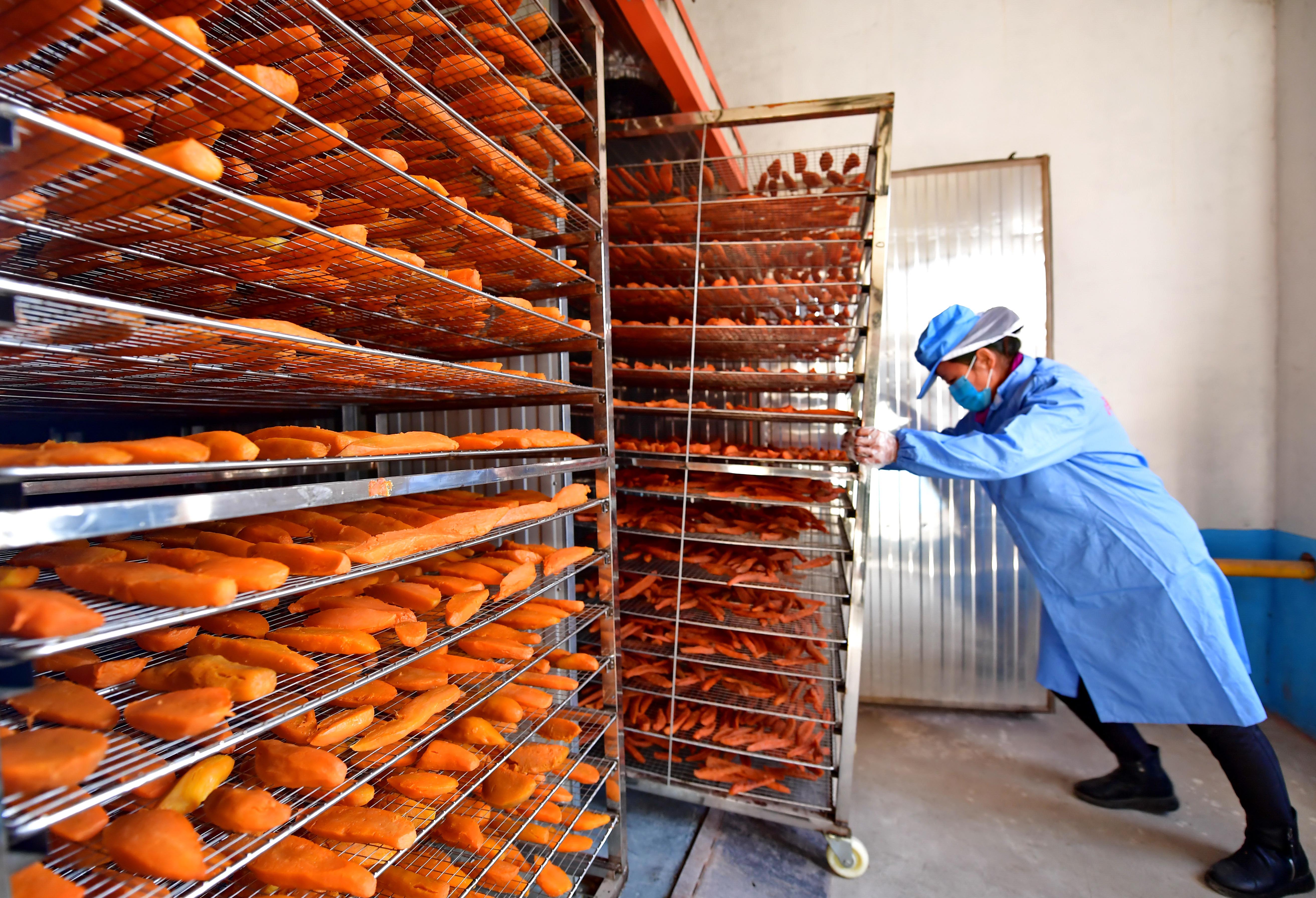 河北滦州 掘金农产品深加工，打造乡村产业新引擎