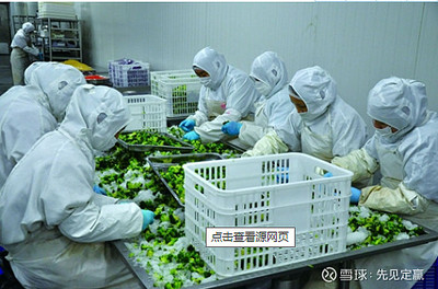 农产品加工 连接田野与餐桌的价值创造桥梁