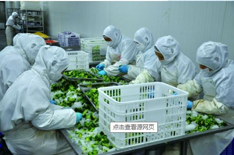 农产品加工 提升农业价值的关键环节