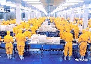 农产品加工要做好三大文章