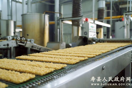 安徽寿县 打造农产品加工产业园，为乡村高质量发展注入强劲动能